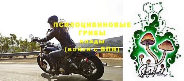 бутират Горно-Алтайск