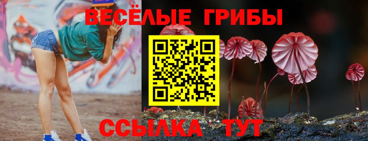 Галлюциногенные грибы MAGIC MUSHROOMS  Псилоцибиновые грибы ЛСД  Назарово 
