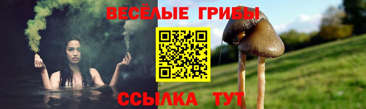 Псилоцибиновые грибы MAGIC MUSHROOMS Назарово